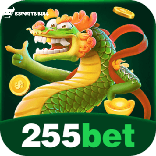 Termos e Condições